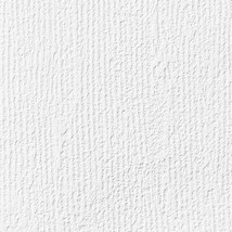 ホワイト 塗り壁調  調湿効果 防かび  サンゲツ RE55543 旧品番RE53836
