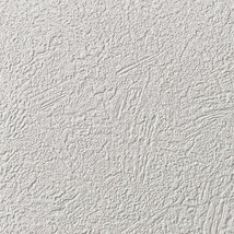 ライトグレー 塗り壁調  調湿効果 防かび  サンゲツ RE55554 旧品番RE53068