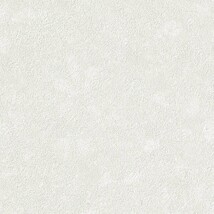 ライトグレー 塗り壁調  消臭 抗菌 防かび  サンゲツ TH34193