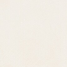 ホワイト 塗り壁調  防かび 抗菌 撥水  サンゲツ TH34212
