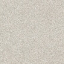 グレー 塗り壁調  抗ウィルス 抗菌 防かび  サンゲツ TH34279