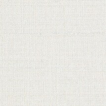 シャドーホワイト 織物調  汚れ防止 耐久 抗菌 表面強化 防かび  サンゲツ TH34559