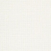 ライトアイボリー 織物調  汚れ防止 耐久 抗菌 表面強化 防かび  サンゲツ TH34565