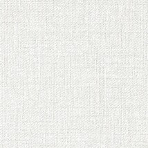 シャドーホワイト 織物調  汚れ防止 耐久 抗菌 表面強化 防かび  サンゲツ TH34573
