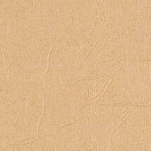 オレンジ 塗り壁調 ウレタンコート 防かび 抗菌 表面強化 撥水  サンゲツ TH34807