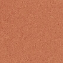 オレンジ 塗り壁調 ウレタンコート 抗菌 表面強化 防かび  サンゲツ TH34814