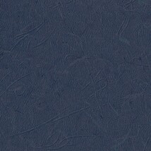 ダークブルー 塗り壁調 ウレタンコート 抗菌 表面強化 防かび  サンゲツ TH34815