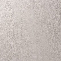 ライトグレー 塗り壁調 消臭 防かび   ルノン C22-2117