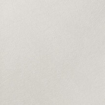 ホワイト 塗り壁調 防かび　表面強化　消臭   ルノン C22-2133