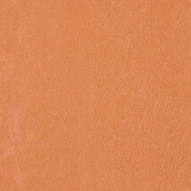 オレンジ プレーン TAJIMA 613-314