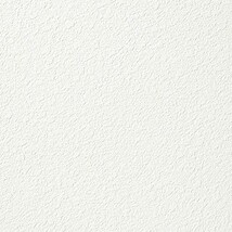 ホワイト 塗り壁調 消臭 防かび   ルノン RF8008