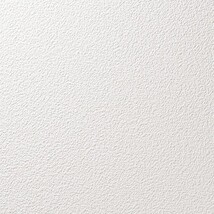 ライトアイボリー 塗り壁調 消臭  透湿性 防かび   ルノン RF8087