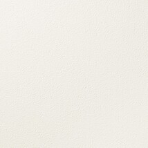 ホワイト 塗り壁調 防かび  表面強化 撥水 消臭   ルノン RF8088