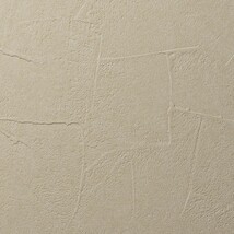ベージュ 塗り壁調 消臭 抗菌 防かび   ルノン RF8113