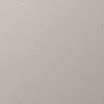 ベージュ 塗り壁調 防かび  撥水 消臭   ルノン RF8121