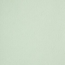 グリーン 塗り壁調 消臭 防かび   ルノン RF8129