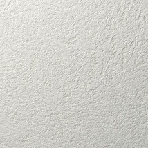 アイボリー 塗り壁調 消臭 防かび   ルノン RF8153