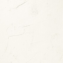 ホワイト 塗り壁調 消臭 防かび   ルノン RF8154