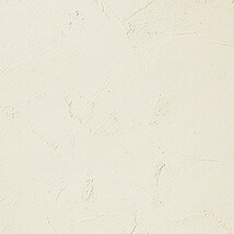 アイボリー 塗り壁調 消臭 防かび   ルノン RF8156