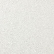 アイボリー 塗り壁調 防かび  表面強化 撥水 消臭   ルノン RF8166