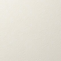 アイボリー 塗り壁調 消臭 防かび   ルノン RF8169