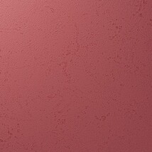 レッド 塗り壁調 汚れ防止 抗菌 表面強化 防かび   ルノン RF8229