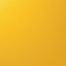 オレンジ 塗り壁調 汚れ防止 抗菌 表面強化 防かび   ルノン RF8231