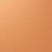 オレンジ 塗り壁調 汚れ防止 抗菌 表面強化 防かび   ルノン RF8232