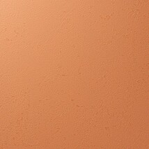 オレンジ 塗り壁調 汚れ防止 抗菌 表面強化 防かび   ルノン RF8233