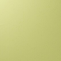 グリーン 塗り壁調 汚れ防止 抗菌 表面強化 防かび   ルノン RF8240