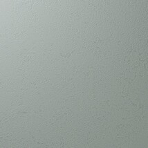 グリーン 塗り壁調 汚れ防止 抗菌 表面強化 防かび   ルノン RF8242