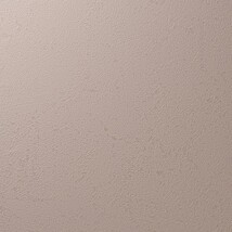 ライトブラウン 塗り壁調 汚れ防止 抗菌 表面強化 防かび   ルノン RF8259
