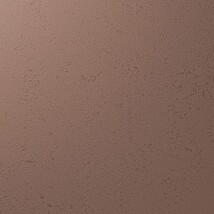 ブラウン 塗り壁調 汚れ防止 抗菌 表面強化 防かび   ルノン RF8260