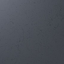 スモークブラック 塗り壁調 汚れ防止 抗菌 表面強化 防かび   ルノン RF8267