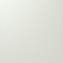 シャドーホワイト 塗り壁調 汚れ防止 抗菌 表面強化 防かび   ルノン RF8270