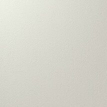 ライトグレー 塗り壁調 汚れ防止 抗菌 表面強化 防かび   ルノン RF8276