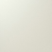 アイボリー 塗り壁調 汚れ防止 抗菌 表面強化 防かび   ルノン RF8278
