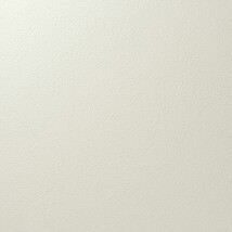 アイボリー 塗り壁調 汚れ防止 抗菌 表面強化 防かび   ルノン RF8279