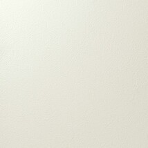 アイボリー 塗り壁調 汚れ防止 抗菌 表面強化 防かび   ルノン RF8282
