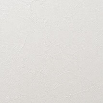 アイボリー 塗り壁調 汚れ防止 抗菌 表面強化 防かび   ルノン RF8285