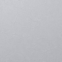 ライトブルー 塗り壁調 汚れ防止 抗菌 表面強化 防かび   ルノン RF8286