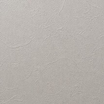 グレー 塗り壁調 汚れ防止 抗菌 表面強化 防かび   ルノン RF8288