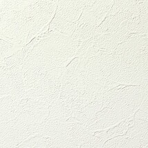 ホワイト 塗り壁調 汚れ防止 抗菌 表面強化 防かび   ルノン RF8289