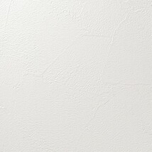シャドーホワイト 塗り壁調 汚れ防止 抗菌 表面強化 防かび   ルノン RF8291