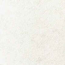 ライトアイボリー 塗り壁調 抗アレルギー 防カビ   ルノン RF8354