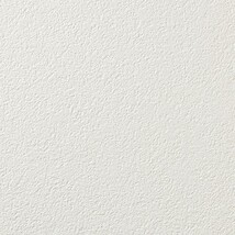アイボリー 塗り壁調 防かび 表面強化 消臭 透湿性   ルノン RF8368