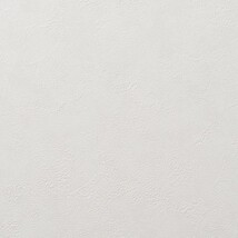 ライトグレー 塗り壁調 吸放湿性 透湿性 防かび   ルノン RF8376