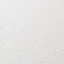 ホワイト 塗り壁調 防かび 抗菌 撥水   ルノン RH-9001