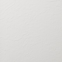 シャドーホワイト 塗り壁調 防かび 抗菌 撥水   ルノン RH-9002