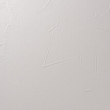 ライトグレー 塗り壁調 防かび  撥水 消臭   ルノン RH-9009
